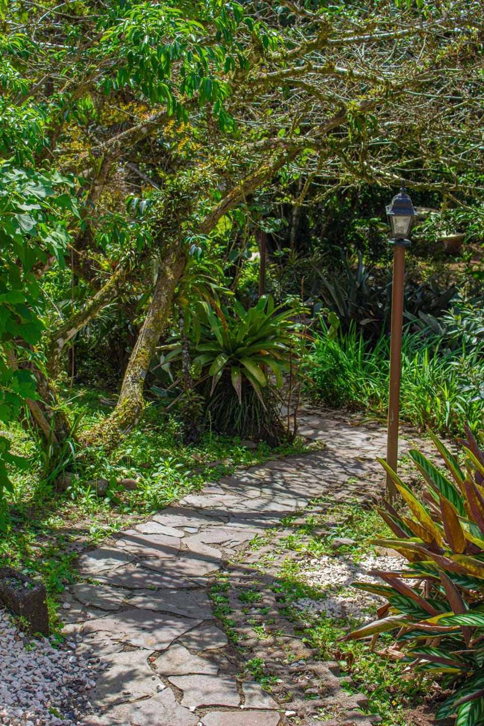 Hotel Holistico Monteverde Hotel in Monteverde