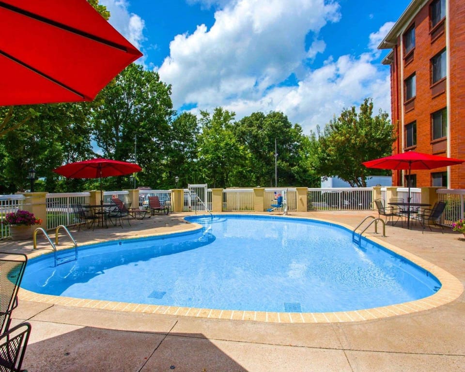 Swimming pool [outdoor]