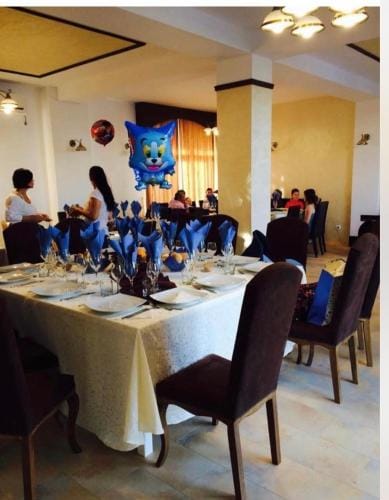 Pensiunea Cristina Hotel in Craiova