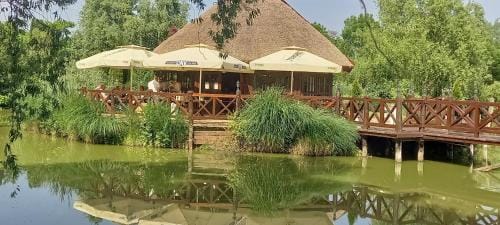 Salas Đorđevic Hotel in Vojvodina