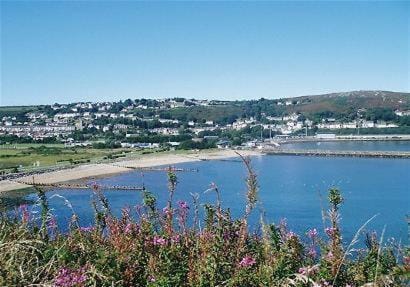 Fern Villa B&B Hotel in Wales