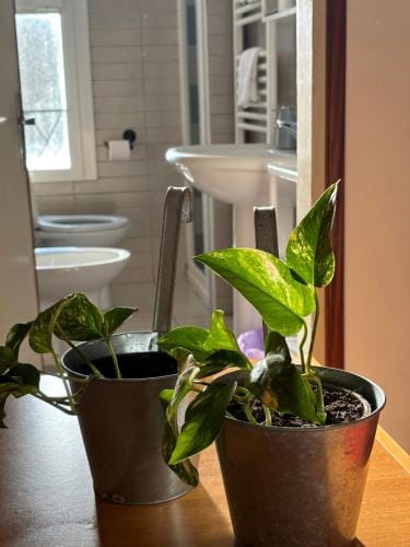 Locanda Caffe Sport Hotel in Trentino-South Tyrol