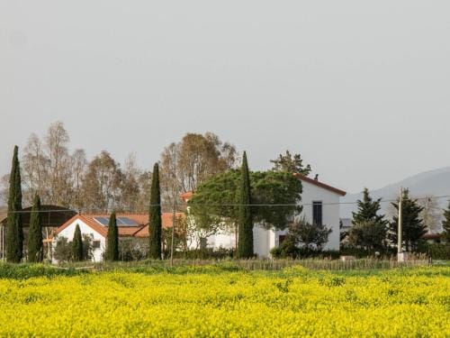 B&B Podere684 Hotel in Tuscany