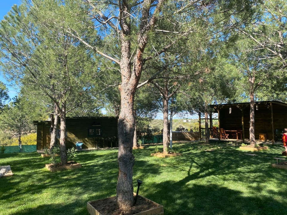 Elyada Otel & Bağ Evi Hotel in Decentralized Administration of the Aegean
