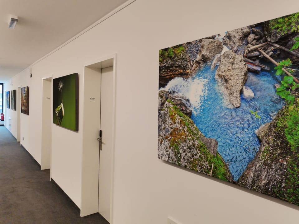 Saminapark Aparthotel Apartment hotel in Vorarlberg, Austria