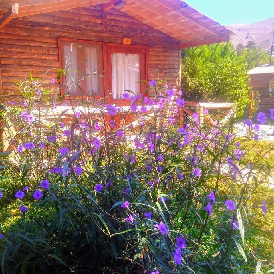 Pitosbungalows Hotel in Muğla Province
