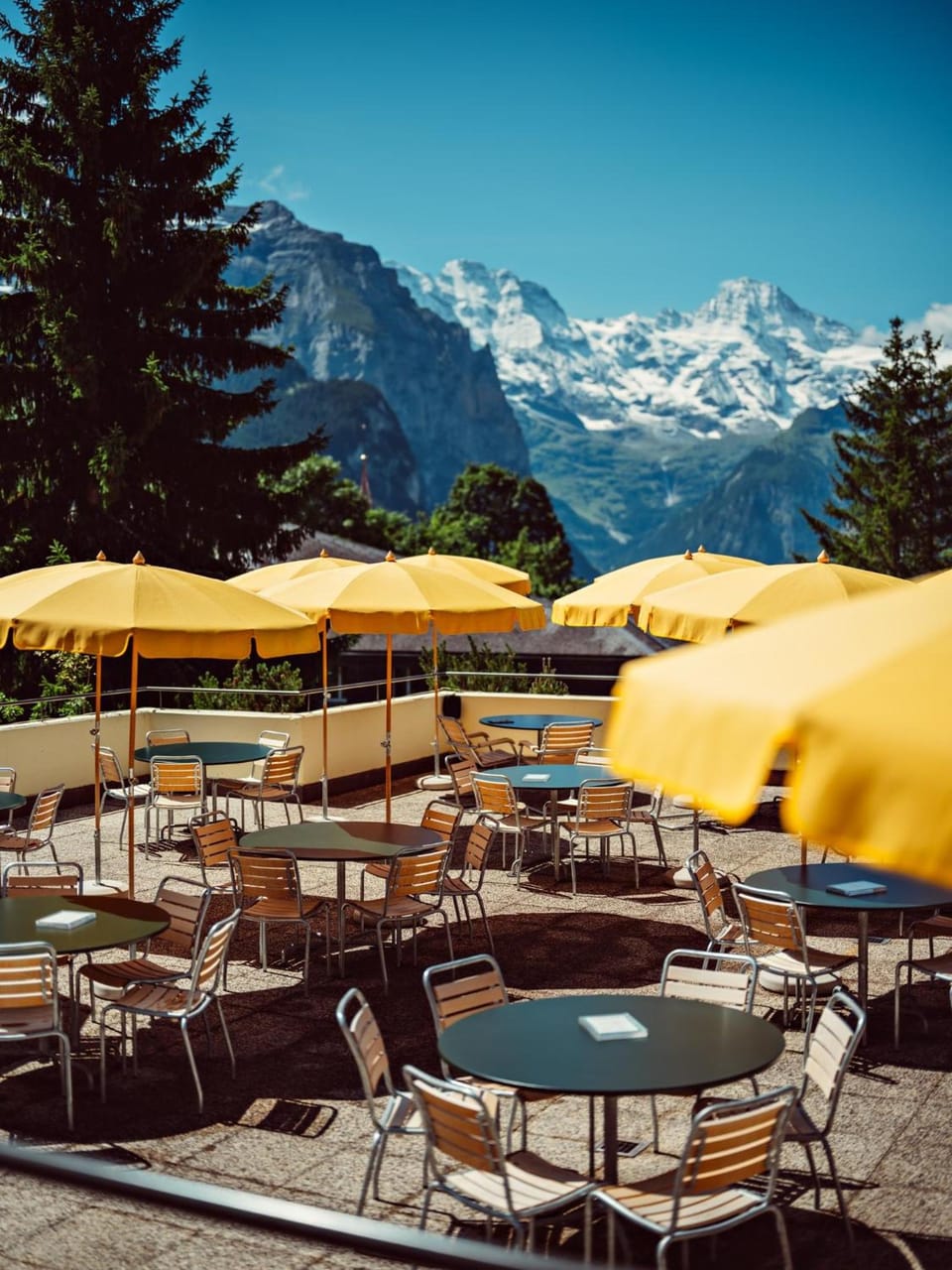 Hotel Belvedere Hotel in Lauterbrunnen