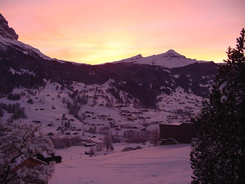Tschuggen Apartment - No Kitchen Hotel in Grindelwald