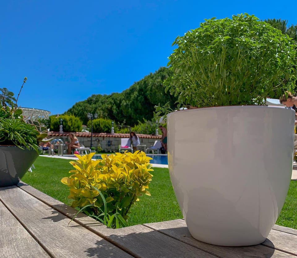 Salbakos Herakleia Boutique Hotel Hotel in Alaçatı