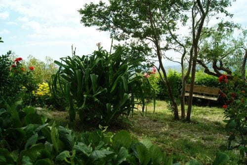 B&B IL QUERCETO Hotel in Basilicata