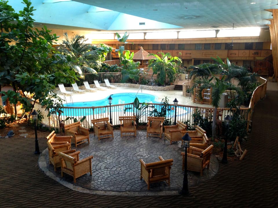 Swimming pool [outdoor]