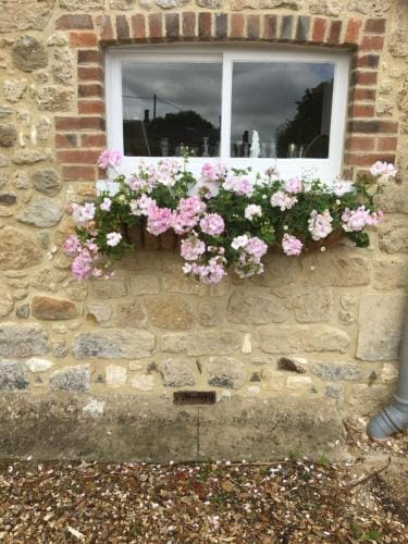 Stroud House Hotel in Freshwater