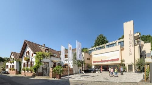 Das Palatinum Hotel in Rhineland-Palatinate