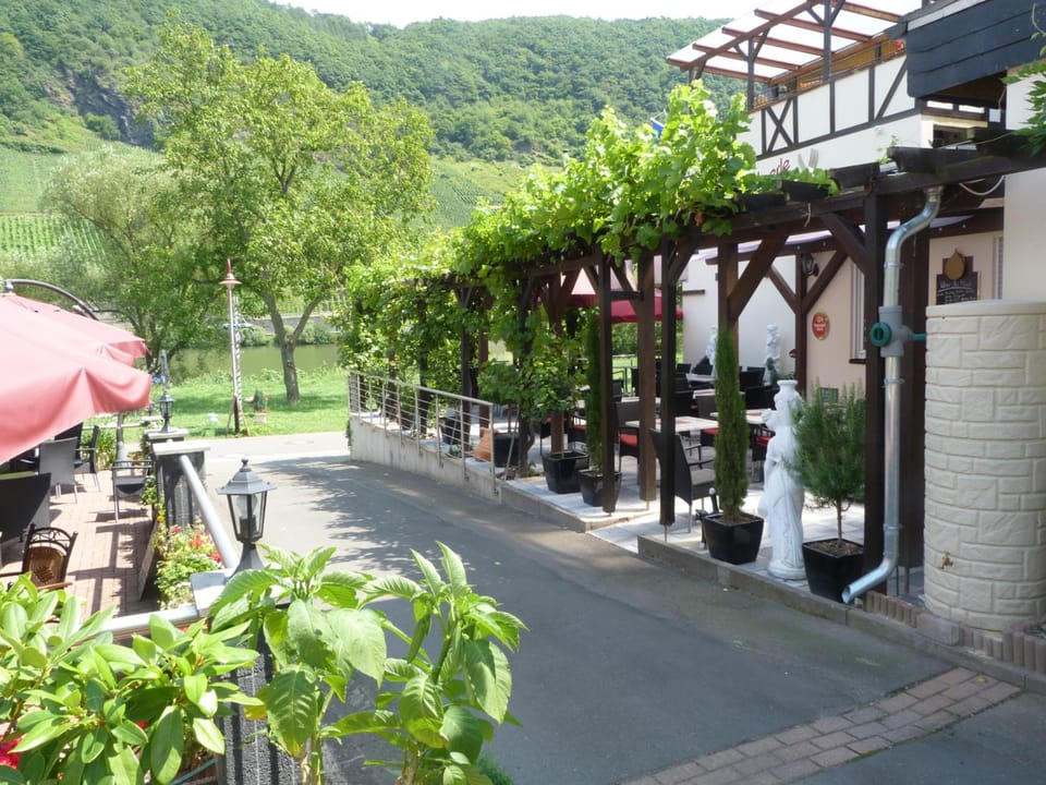 Moselperle Hotel Restaurant Hotel in Cochem-Zell