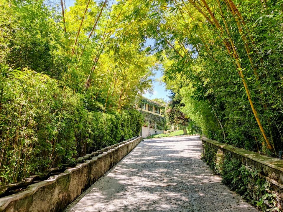 Rancho La Joya Hotel in State of Morelos