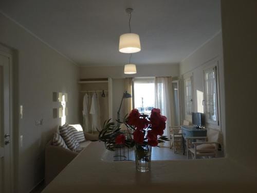 Naxos Oceamo Hotel in Naxos