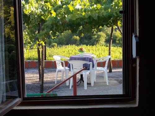 Guesthouse Feel Lake Hotel in Podgorica Municipality, Montenegro