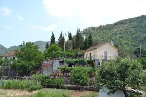 Guesthouse Feel Lake Hotel in Podgorica Municipality, Montenegro