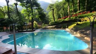Swimming pool [outdoor]