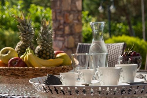 Olympus Villas Hotel in Pieria, Greece