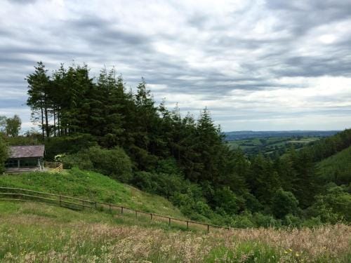 Bryngolau Hotel in Wales