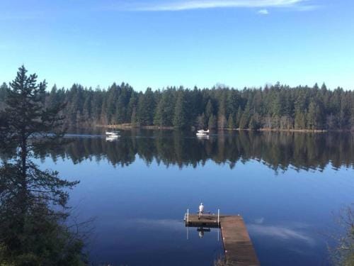 Lakeside Living Suite! Mt Rainier, Nwtrek, Jblm Hotel in Washington