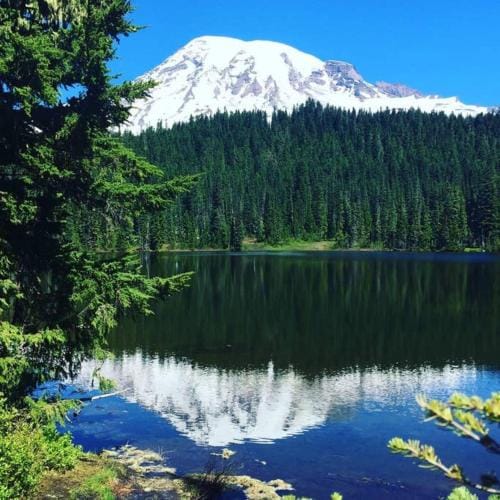 Lakeside Living Suite! Mt Rainier, Nwtrek, Jblm Hotel in Washington