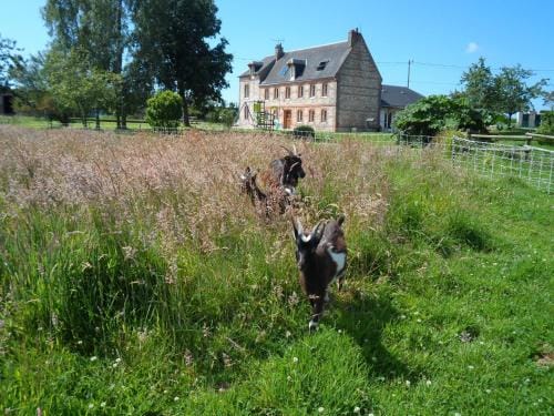 A L'Oree Du Lin Hotel in Normandy