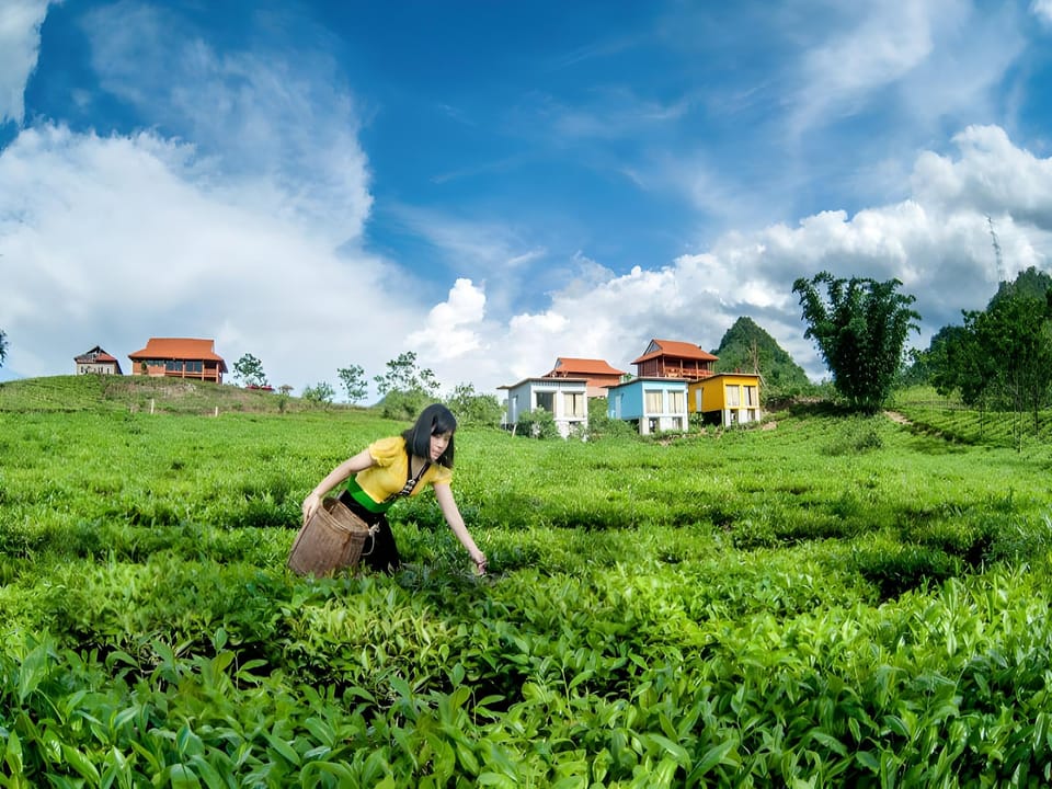 Moc Chau Arena Village Apartment hotel in Vietnam