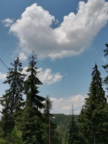 Paradiso Zlatar 3 Hotel in Zlatibor District, Serbia