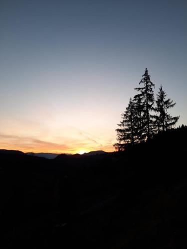 Paradiso Zlatar 3 Hotel in Zlatibor District, Serbia