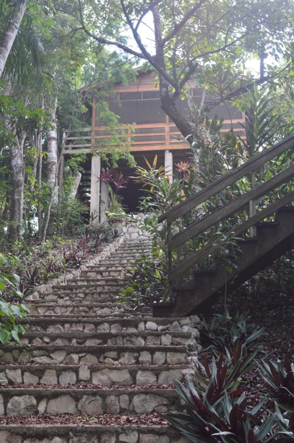 Santa Cruz Cabins Hotel in Cayo District