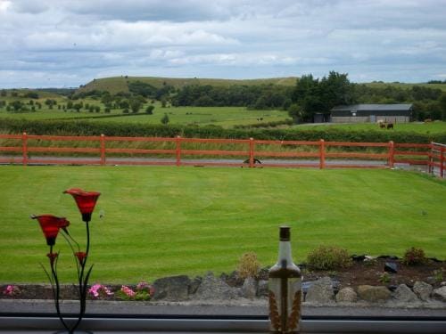 Clonmacnoise B&B Hotel in Westmeath, Co. Westmeath, Ireland