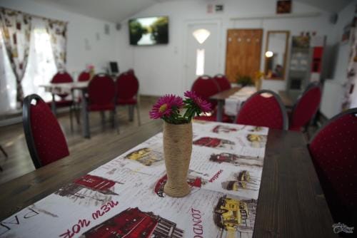Pensiunea Irina Hotel in Serbia