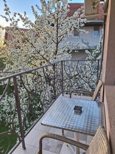 Guest House Dimitrije Hotel in Serbia