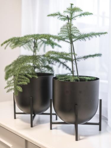 Traube Restaurant & Hotel Hotel in Appenzell District