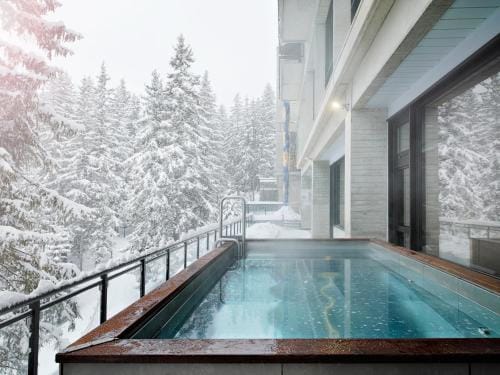 Totem, Friendly Hotel & Spa Hotel in Arâches-la-Frasse