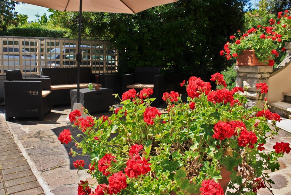 Hotel Puccinelli Hotel in Emilia-Romagna