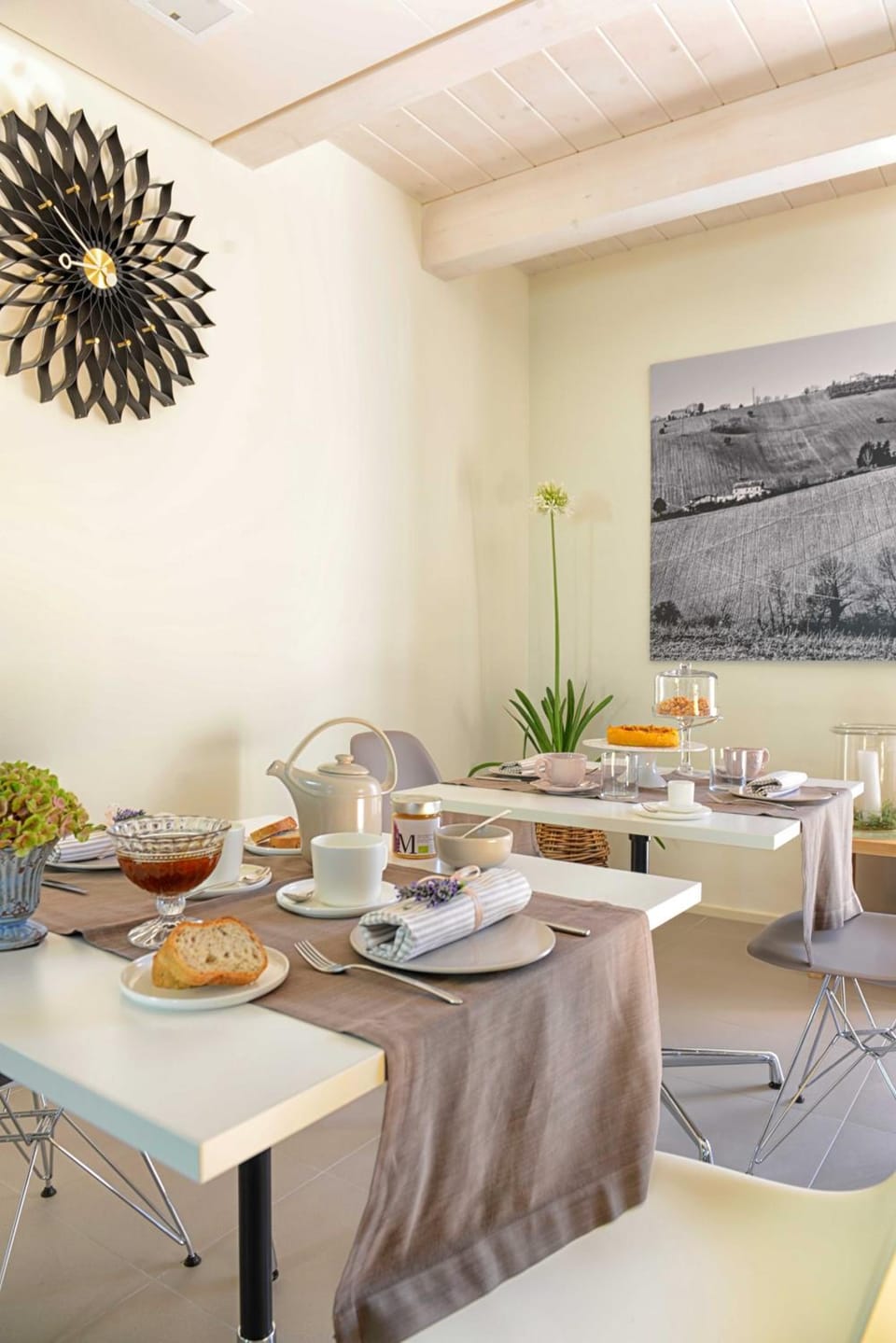 Il Gallo Senone Resort di Campagna Resort in Marche