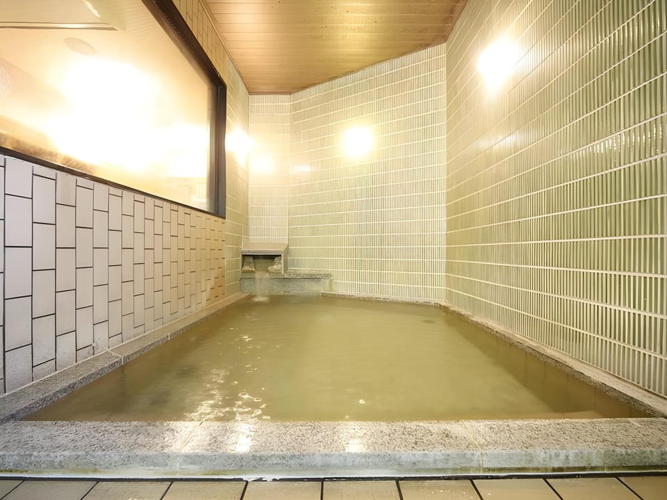 Kamisuwa Station Hotel Hotel in Nagano Prefecture