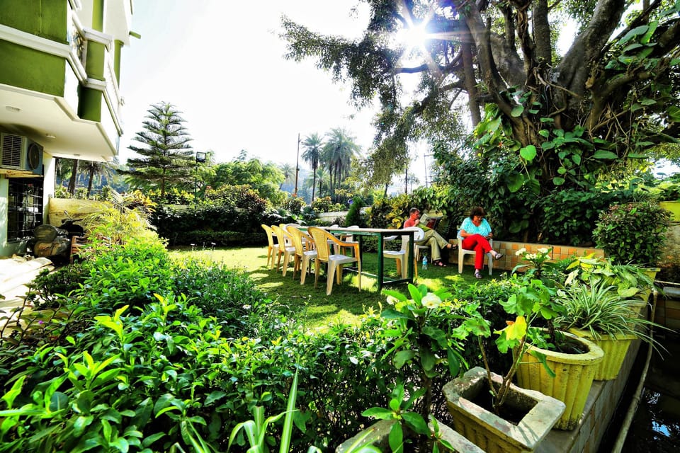 Garden