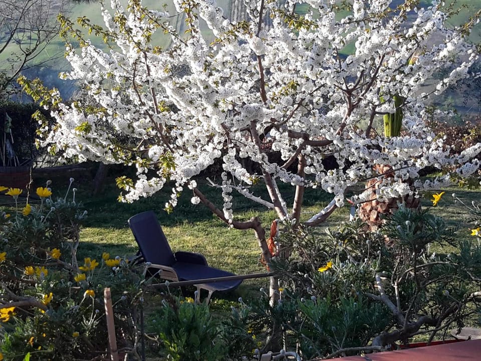 B&B L'Albero Di Antonia Hotel in Abruzzo