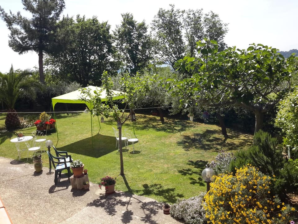 B&B L'Albero Di Antonia Hotel in Abruzzo