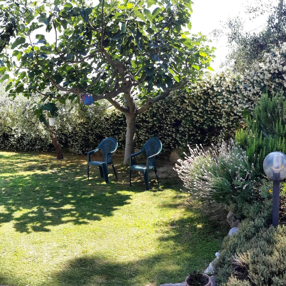 B&B L'Albero Di Antonia Hotel in Abruzzo