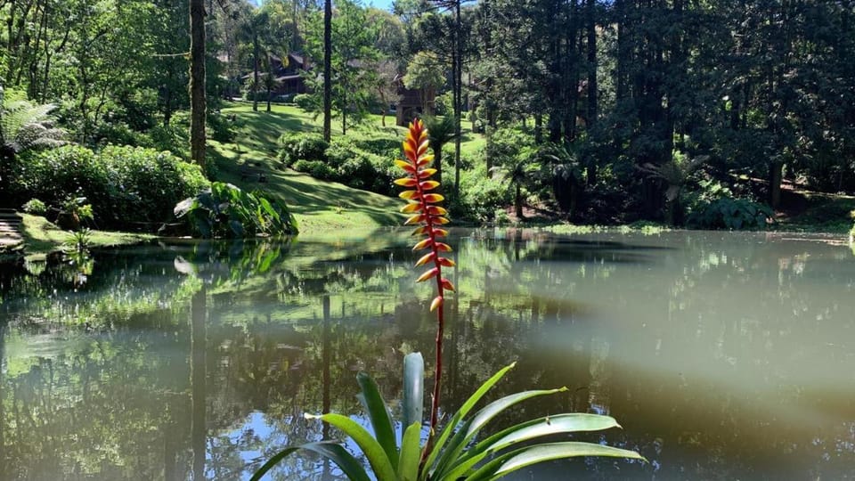 Surrounding environment