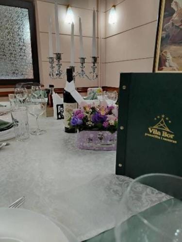 Guest house Vila Bor Hotel in Novi Sad