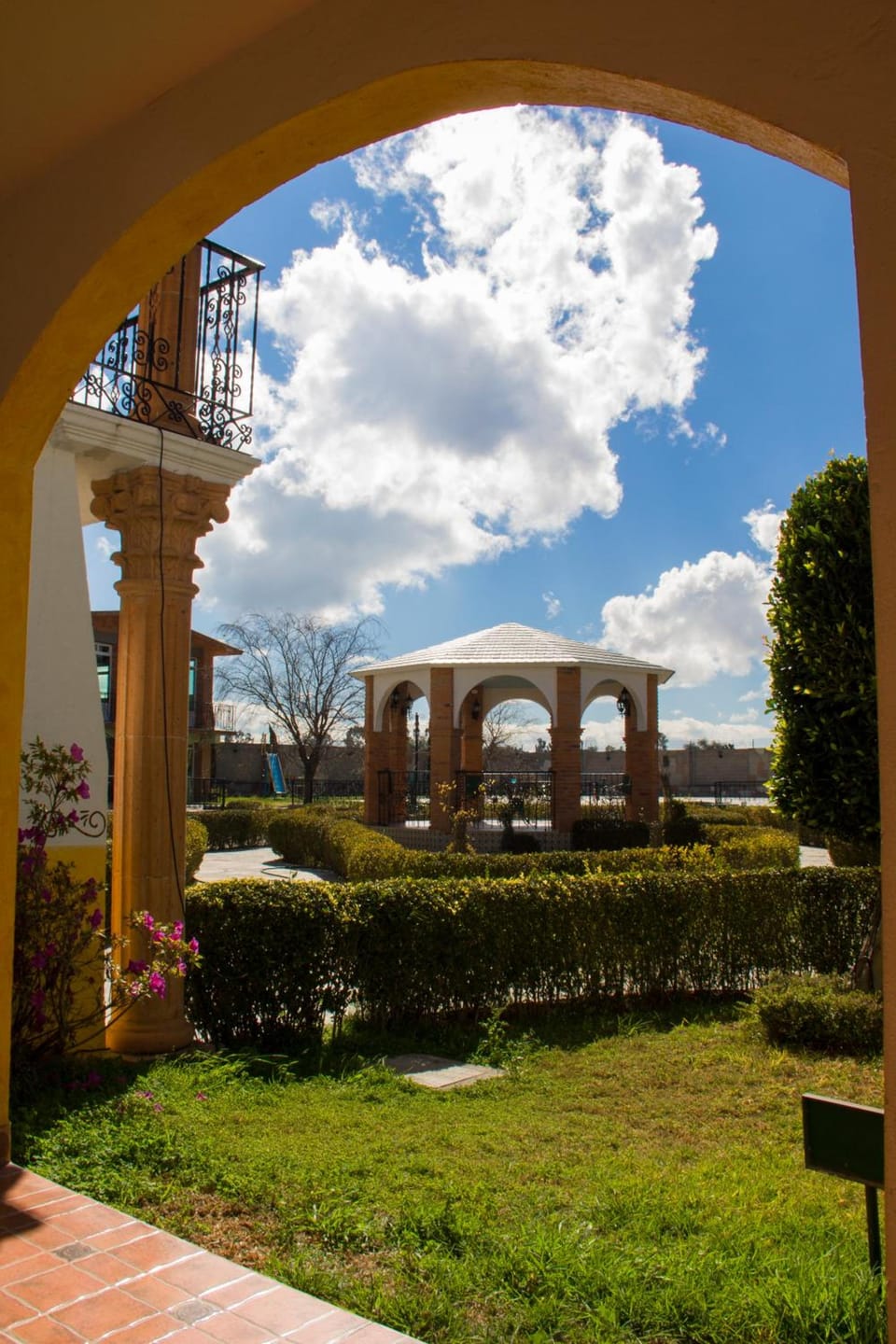 Garden