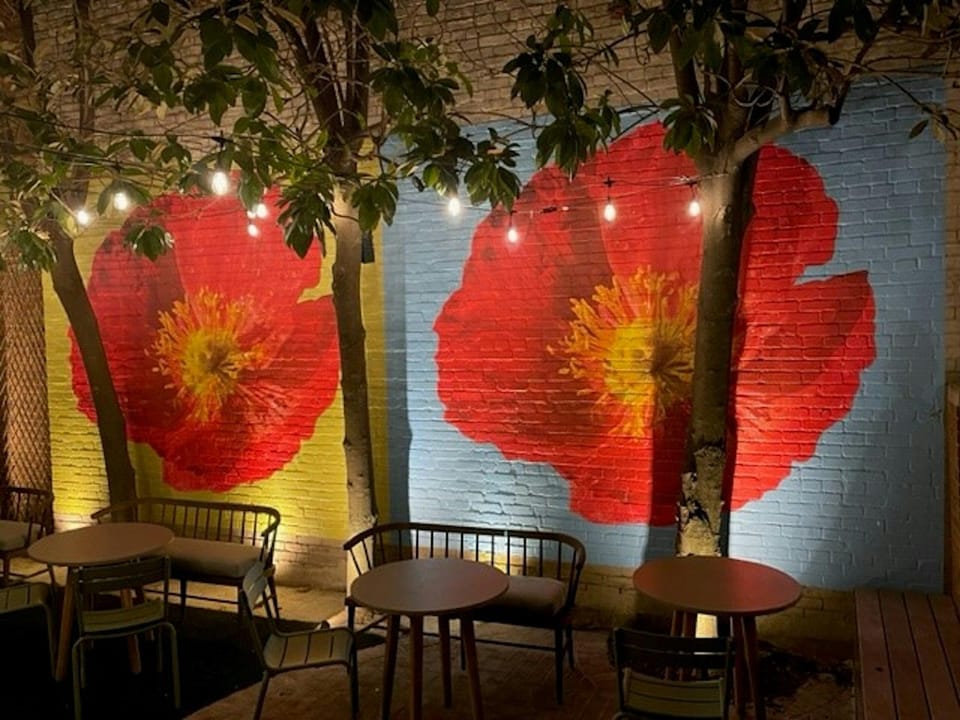 The Poppy Georgetown Hotel in Arlington