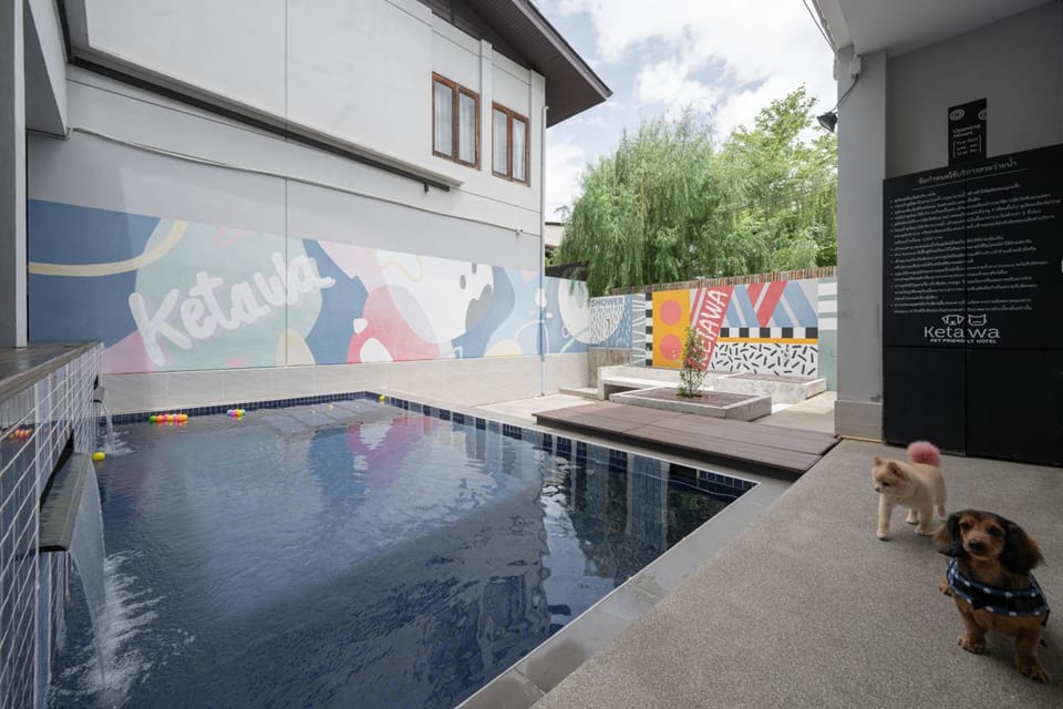 Ketawa Pet Friendly Hotel Hotel in Chiang Mai