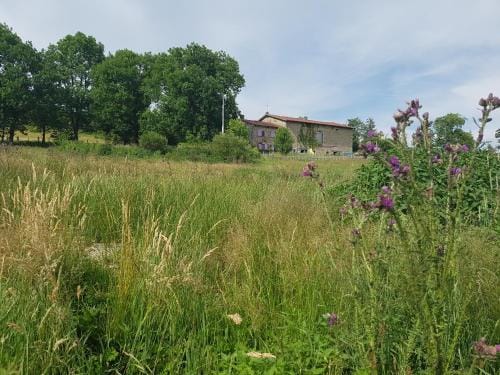 Les Pierres Davelie Hotel in Auvergne-Rhône-Alpes